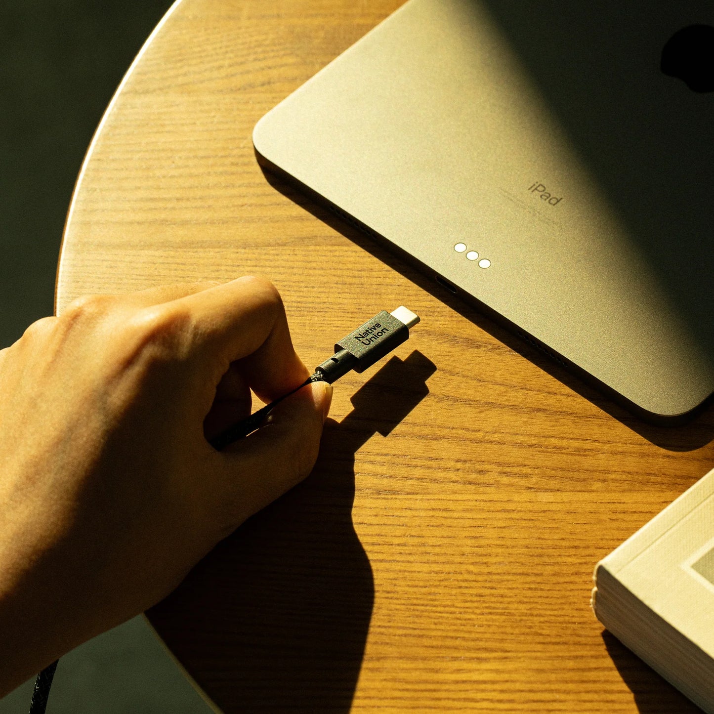 Native Union BELT CABLE XL C TO C COSMOS 3M Şarj Kablosu