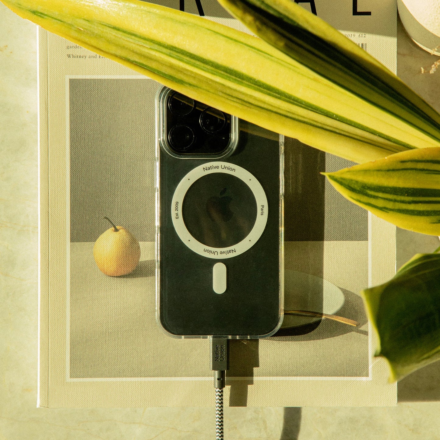 Native Union BELT CABLE XL C TO C ZEBRA 3M Şarj Kablosu