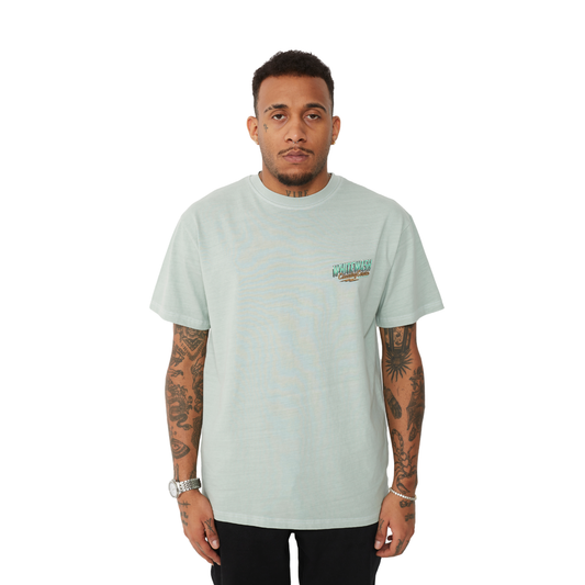 Polypop Whitewash Pale Green Regular Fit T-Shirt