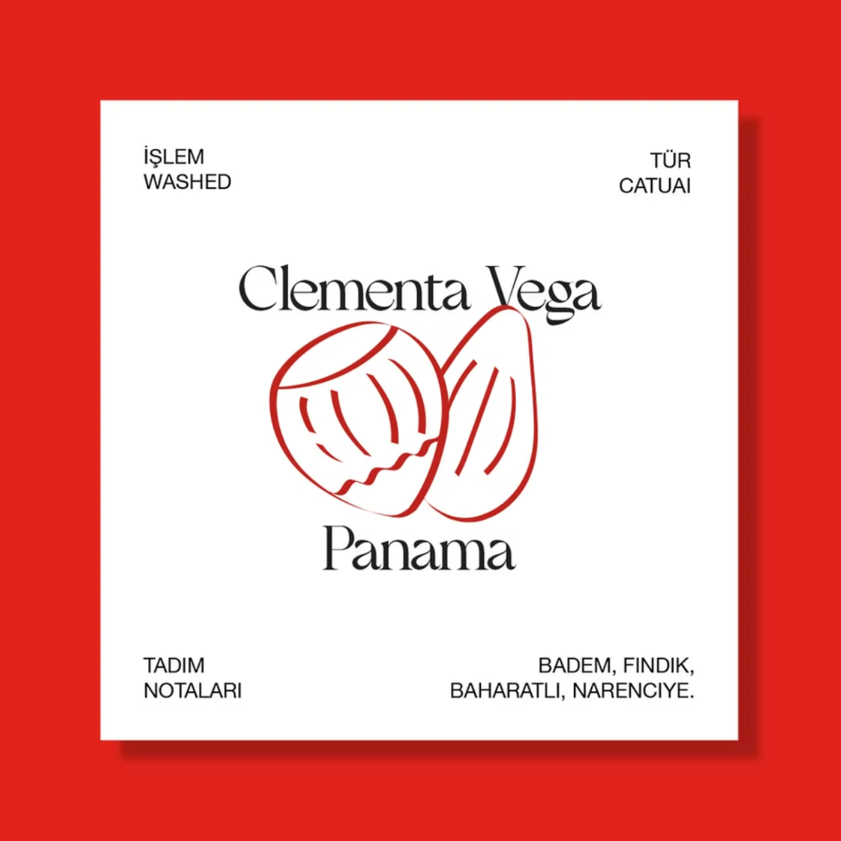 Panama, Clementa Vega Washed