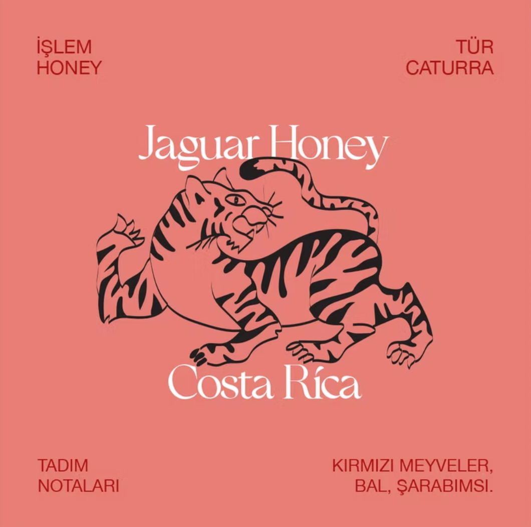 Costa Rica, Jaguar Honey