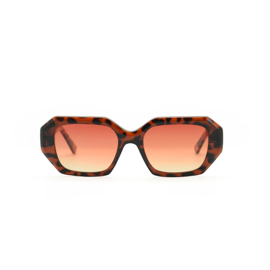 LOOKlight Salvia / Chocolate / Brown Degrade